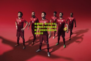 搜狐体育新闻：健康隆佐·鲍尔能否成为詹姆斯冲冠的最后拼图？深度解析兼容性与未来前景