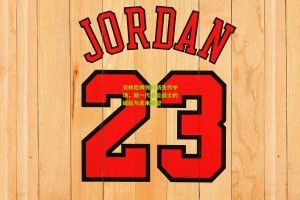 搜狐体育新闻：贝林厄姆领衔新生代中场，新一代全能战士的崛起与未来展望