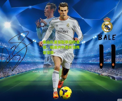 搜狐体育新闻|泰山队夏窗酝酿后防重组，瞄准内外援补强阵容深度