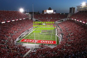 搜狐体育新闻-土超劲旅埃于普体育与曼联达成协议 荷兰边卫马拉西亚租借登陆伊斯坦布尔