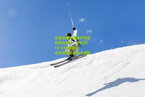 搜狐体育首页官网-哈登总得分超越传奇跻身历史前十，空砍34+5+6+4难救主，末节关键三分失手惜败