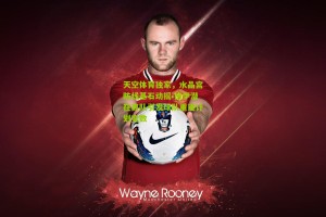 搜狐体育|天空体育独家，水晶宫防线基石动摇 格伊潜在离队引发球队重建计划变数