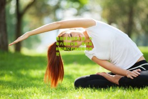 搜狐体育网：伯恩茅斯经营之道，六年六笔神交易，差价盈利超两亿的英超精明典范